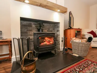 a fireplace in a living room with a stove at Glenfinglas Dam Cottage in Callander