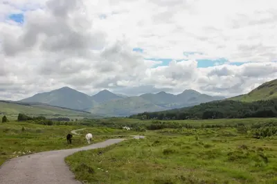 a couple of horses walking down a dirt road at Trekker Hut in Tyndrum