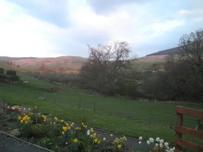 a field with a fence and flowers in the grass at Rockfoot B&B in Fintry