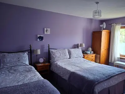 two beds in a bedroom with purple walls at Rockfoot B&B in Fintry