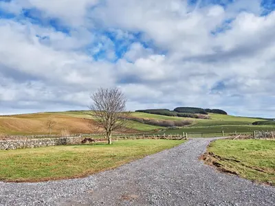 a gravel road leading to a field with a tree at Midcraigs in Kilchenzie