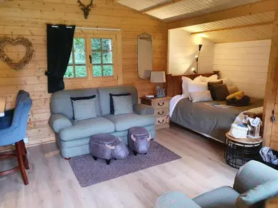 a living room with a couch and a bed in a cabin at 1-Bed Cabin 2 adults Wood Burning Hot Tub & Fire in Carluke
