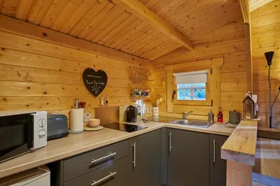 a kitchen in a cabin with wooden walls at 1-Bed Cabin 2 adults Wood Burning Hot Tub & Fire in Carluke
