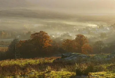 a foggy field with trees and clouds in the background at Woodland Hazel Lodge in Killin