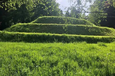a grassy field with hedges in the grass at Barns Library in Peebles