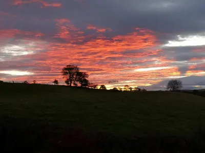 a sunset over a field with trees on a hill at The Bothy Claymires Loch Lomond & Stirling in Buchlyvie