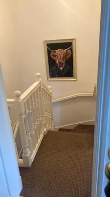 a picture of a cat wearing a mask next to a staircase at Park side Cottage, Number 2, The Morays in Blackford