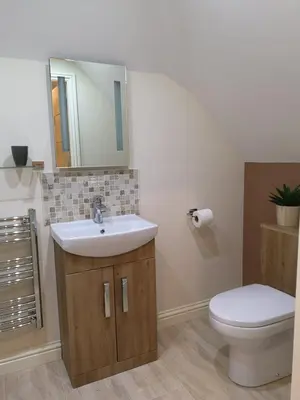 a bathroom with a sink and a toilet and a mirror at Forest View Guesthouse, Kinlochleven WHW in Kinlochmore