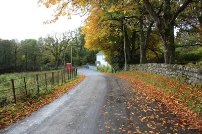 a dirt road with a fence and autumn leaves at Pirn Mill Self Catering Cottage in Cladich