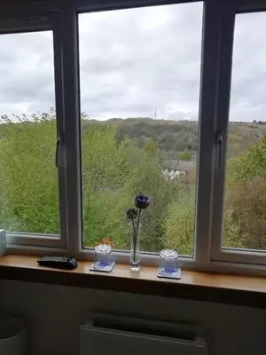 a window sill with a vase with flowers in it at Elderslie Guest House in Oban