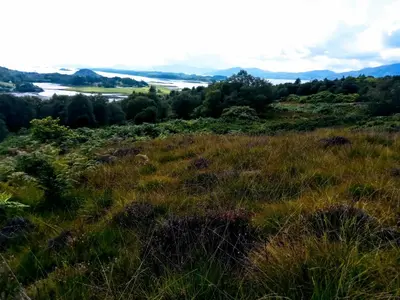 a grassy hill with a view of a river and mountains at Granite Croft in Appin