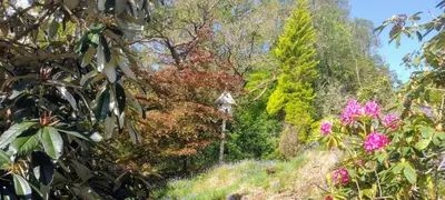a group of trees with pink flowers and a bird house at Granite Croft in Appin