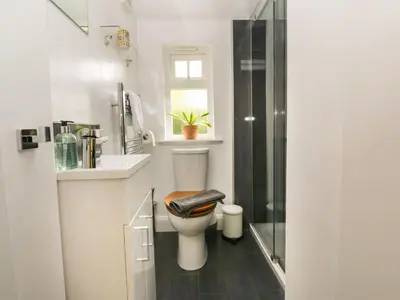 a bathroom with a toilet and a sink and a shower at Ellanderroch in Glasgow