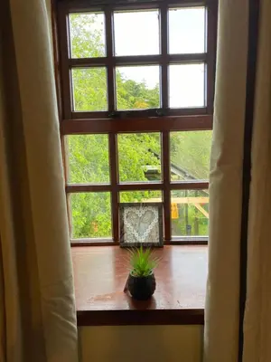 a window with a potted plant sitting on a window sill at Mawenyoupe in Lochgilphead