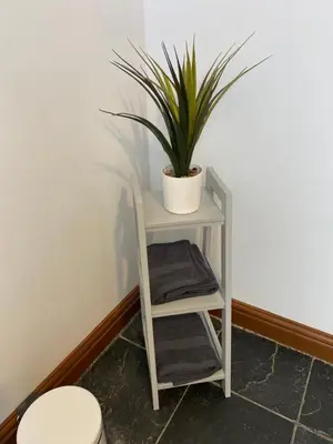 a plant on a white shelf next to a toilet at Mawenyoupe in Lochgilphead