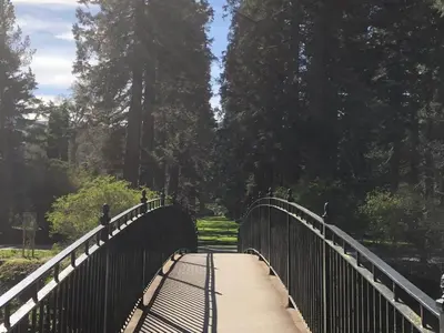 a bridge in a park with trees and a forest at Rashfield Sheilings - Quiet Riverside Lodges for Couples near Pucks Glen in Dunoon