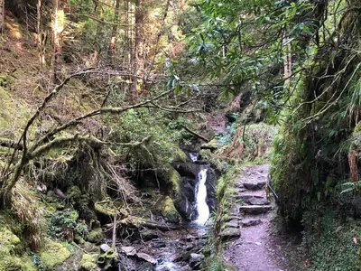 a waterfall in the middle of a forest at Rashfield Sheilings - Quiet Riverside Lodges for Couples near Pucks Glen in Dunoon
