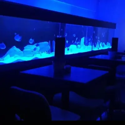 a room with tables and chairs and a fish tank at The Green Monkey Lux Suite at The Grumpy Schnauzer B&B Private Hot Tub, Gym, Breakfast, Stunning! in New Monkland