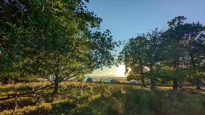 a field with trees and the sunset in the background at Cardross Estate Glamping Pods in Stirling
