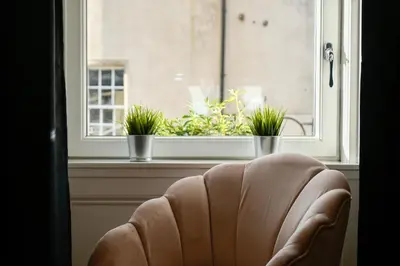 a chair sitting in front of a window with potted plants at The Gallery Apartment - Spacious, Town Centre, Walkable to Ferry Terminal, in Oban