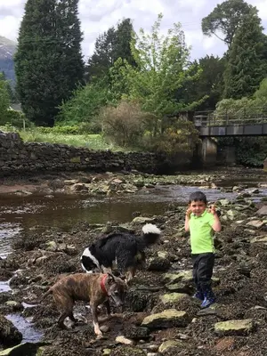 a young boy and two dogs standing in a stream at The Wimbledon 70 in Dunoon