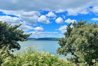 a view of a lake between two trees at Scallopshell Lodge in Otter Ferry