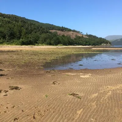 a sandy beach with a body of water at Swift Bordeaux Sea View No 3 in Dunoon