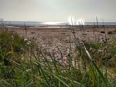 a sandy beach with grass and the ocean in the background at Cleeves Cabins Arran Luxury Lodge with hot tub in Dalry