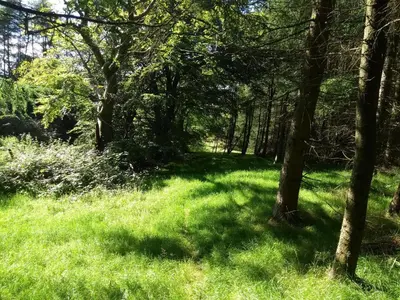 a lush green field with trees and grass at Cleeves Cabins Arran Luxury Lodge with hot tub in Dalry