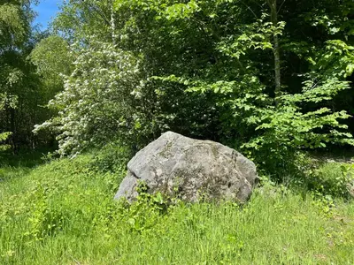 a rock sitting in the grass in a field at Wellsfield Farm Holiday Lodges in Stirling