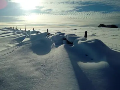 a fence covered in snow with the sun in the background at Buckieburn - self-catering - rural in Stirling