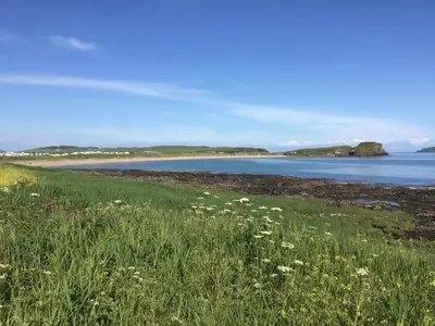 a field of grass and flowers next to a body of water at Erradill Cottage in Southend