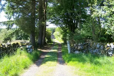 a dirt road with trees and a stone wall at Anne's Cottage in Bargrennan