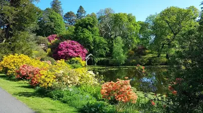 a garden with colorful flowers and a pond at Dairy Cottage with sea views in Girvan