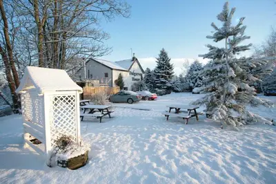 a snow covered yard with benches and a christmas tree at Dalgarven spa venue in Kilwinning