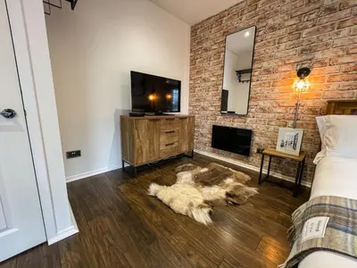 a dog laying on the floor in a room with a fireplace at Studio Hart Castle Rock Grassmarket in Edinburgh