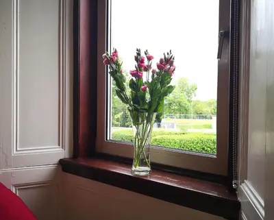 a vase of flowers sitting on a window sill at Forth View Apartment in Stirling