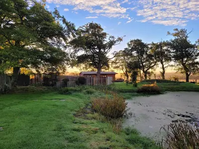 a yard with a fence and a house at Cosy wood cabin in rural area near national park in Cumnock