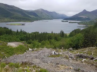 a view of a lake from a mountain at Oakview Chalet in Glencoe
