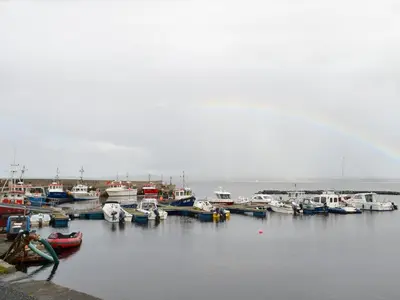 a bunch of boats are docked in a harbor at Ashley Cottage in Bowmore