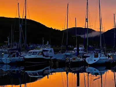 a group of boats docked in a marina at sunset at Willow Lodge in Rashfield