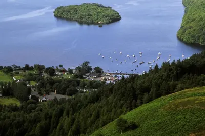 a flock of birds flying over a body of water at Loch Lomond Waterfront Luxury Lodges in Balmaha