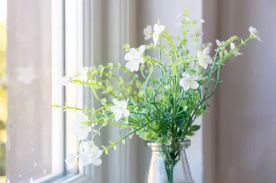a vase filled with white flowers on a window sill at The Orchard - Donnini Apartments in Ayr