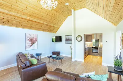 a living room with a wooden ceiling at Kestrel Lodge 6 with Hot Tub in Newton Stewart