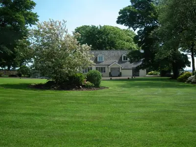 a white house with a tree in the yard at Whitehouse in Uplawmoor