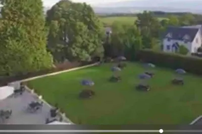 an aerial view of a yard with cows in the grass at Ryder Cup Lodge Duchally - Free access to Leisure Club Swimming Pool Hot Tub Steam Room - Starlink Satellite Internet - Sky Glass Now DOG FRIENDLY for 2025 in Auchterarder