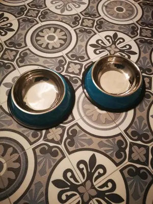 two bowls are sitting on a tile floor at Welcome to St Helena Dunoon, a traditional villa in Dunoon