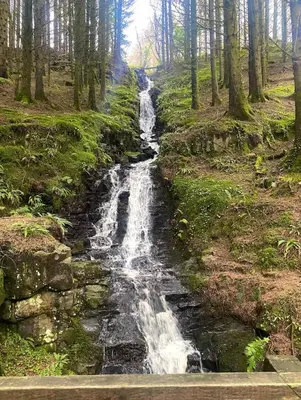 a waterfall in the middle of a forest at Wee Silverburn in Whiting Bay