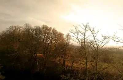 a group of trees on top of a hill at Orchy Bank House in Dalmally