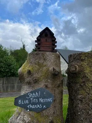 a statue of a bear with a bird house on it at Pine Cabin, Strathyre. A cosy escape from it all. in Strathyre